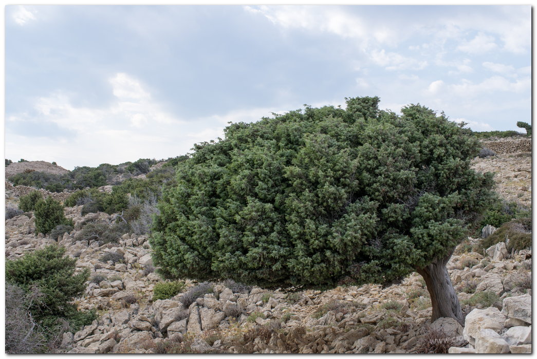 hiking37